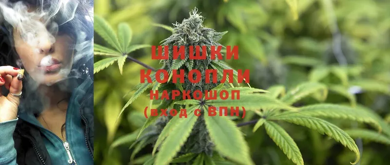 цена   Кызыл  Бошки Шишки White Widow 